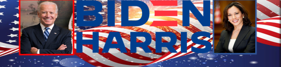 Biden Harris Presidential Inauguration Watch Party